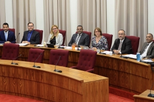 Fraccion di AVP riba Dia di Himno y Bandera: Aruba ta nos cas y hunto nos tin cu cuid'e