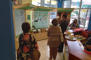 Expo Lasonan Caribeño na San Nicolas