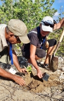 Parke Arikok cu accion di planta matanan pa restaura biodiversidad 