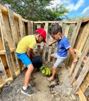 Parke Arikok cu accion di planta matanan pa restaura biodiversidad 