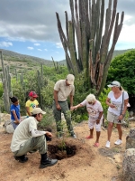 Parke Arikok cu accion di planta matanan pa restaura biodiversidad 