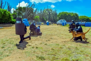 Aruba ta conta cu dos K9 polis profesional