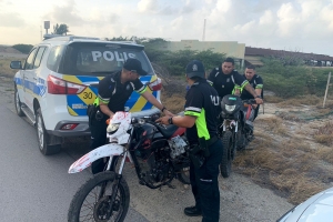 Polis a recupera brommernan horta den marduga