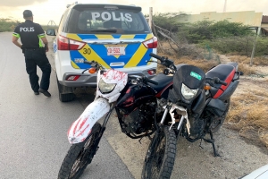Polis a recupera brommernan horta den marduga