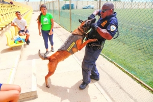 KPA ta recorda K9 Jack cu recientemente a fayece   