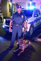 KPA ta recorda K9 Jack cu recientemente a fayece   
