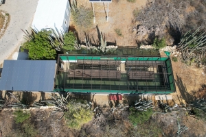 FPNA a inaugura su Centro di Cultivo riba Dia di Mama Tera 