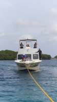 Polis ta topa cu boto pega den mangrove