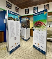 Riba Dia Internacional di Oceano a inaugura un mini-exhibicion di ganadornan di Nature Photography Competition 2021