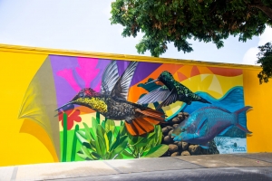 A.T.A. a comisiona artista local pa crea mural nobo na San Nicolas  