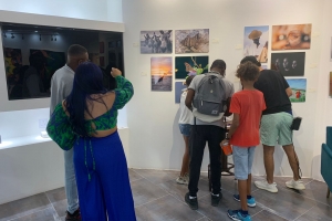 Exposicion di Aruba Art Fair, Art Expression cu Covid como e topico principal