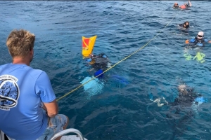 Pintora ta haci obranan bou di awa pa crea consciencia y proteccion di bida marino