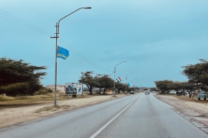 Aruba ta cla y dorna pa ricibi bishita di famia Real 