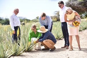Famia Real a disfruta di e bishita na Royal Aruba Aloë  
