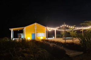 Aruba tin su propio viñedo, bodega y distileria Alto Vista Winery, produciendo biña y rum localmente