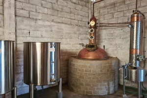 Aruba tin su propio viñedo, bodega y distileria Alto Vista Winery, produciendo biña y rum localmente