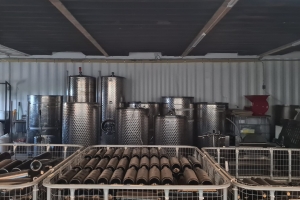 Aruba tin su propio viñedo, bodega y distileria Alto Vista Winery, produciendo biña y rum localmente