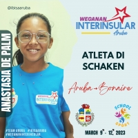 Delegacion di Aruba ta participando den Weganan Interinsular na Bonaire den Dam y Ajedrez  