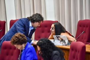 Parlamentario Gerlien Croes a atende reunion di Parlamento como miembro di AVP