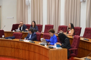 Parlamentario Gerlien Croes a atende reunion di Parlamento como miembro di AVP