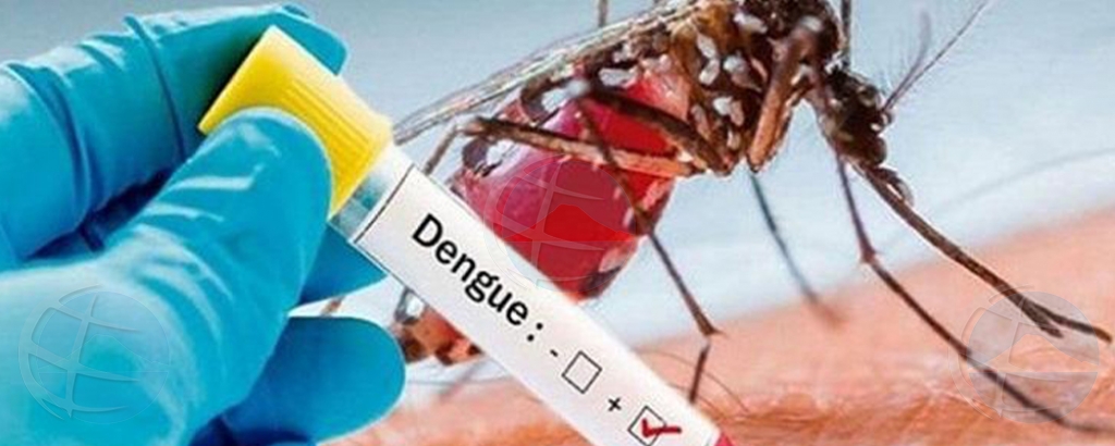 DVG: Aruba mester ta alerta pa casonan di dengue  aumentando den region