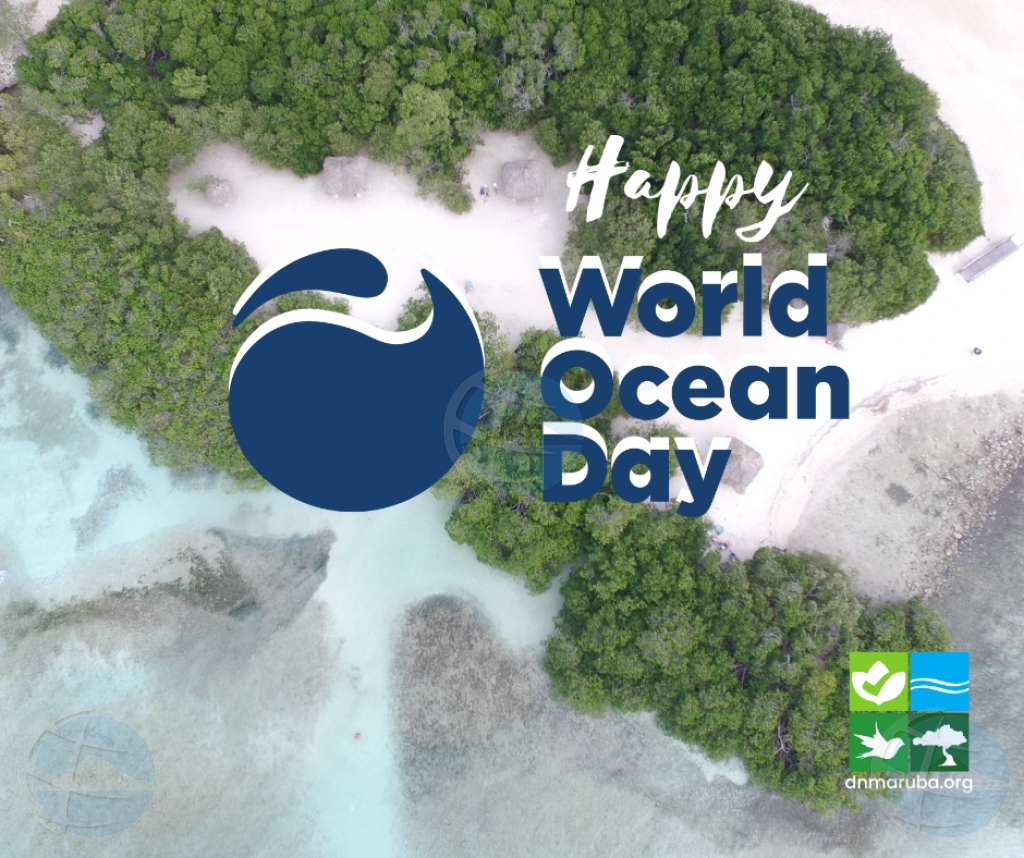 Dia Mundial di Oceano 2023,ta tempo pa pone atencion na e oceano