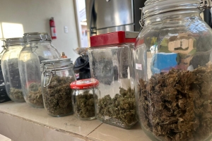 Polis a descubri plantacion y basta paki di droga na un cas na San Nicolas 