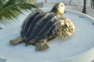 Wever: Driekel na rotonde di Eagle Beach ta representa resiliencia, forsa y amor pa Aruba   