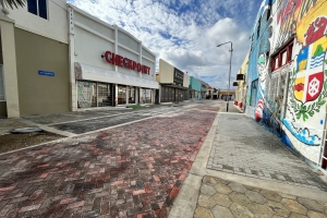 Wever: Proyecto Wilhelminastraat/Columbusstraat cla den di dos siman di November