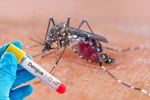 DVG: No tin motibo pa alerta pasobra Aruba no tin brote di Dengue aworaki