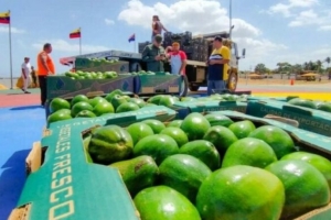 Venezuela a exporta 270 ton di carga pa Aruba y Corsou den prome dos luna di 2024 caba