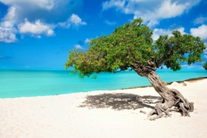 The Travel: Aruba ta e di 5 isla mas sigur den Caribe for di un lista di 7 