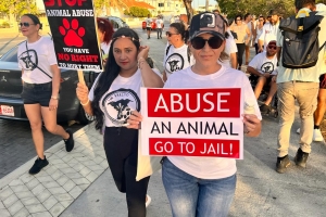 Grupo grandi di persona a participa den marcha contra maltrato di bestia 