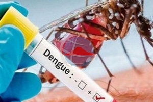 DVG: A cuminsa hospitalisa hende localmente infecta cu Dengue  