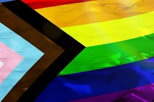 Corte Supremo di Dominica a rechasa prohibicion di homosexualidad riba e isla 