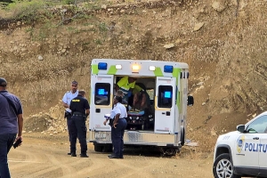 Na Corsou, un turista a keda ataca severamente pa varios cacho di rasa pitbull 