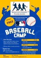 E weekend aki tin un MLB Camp na Aruba cu hungadornan professional di baseball 