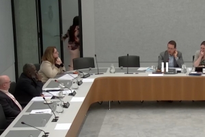 Na Hulanda, comision Relacionan di Reino a termina den pleito 