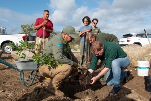 Gobierno di Aruba a duna inicio na proyecto di reforestacion na Spaans Lagoen