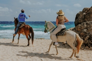 DNM: Prohibi pa core  cabay riba beachnan di Aruba!   