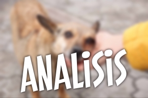 Analisis: E problema y peliger di cacho di caya na Aruba PARTI 1