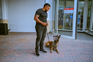 Unidad canino di polis a ricibi dos cacho nobo 
