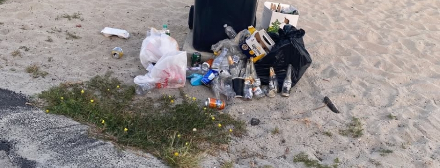 Tanto bal gana premio pa miho beach, si nan ta wordo trata mahos