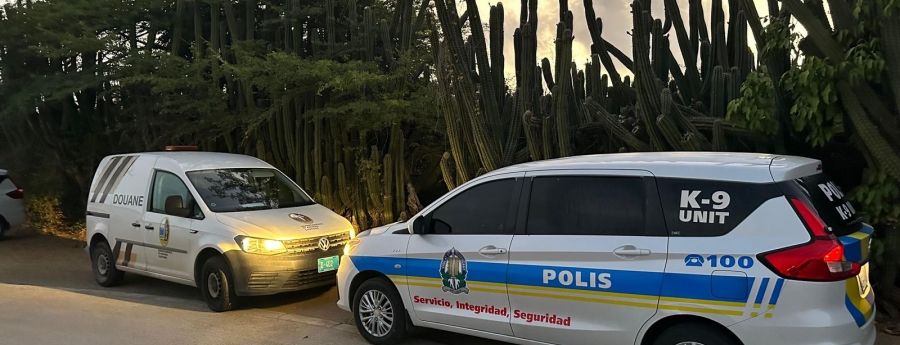 Polis a detene dos persona y confisca arma y hopi droga durante entrada hudicial