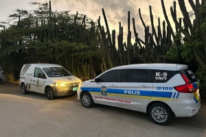 Polis a detene dos persona y confisca arma y hopi droga durante entrada hudicial