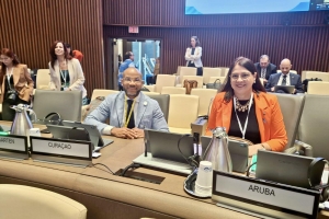 Aruba y Corsou ta representa den reunionan di PAHO y WHO na Merca 