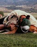 Formula 1 di luto pa Roscoe Hamilton, bulldog cu tabata popular igual cu e corredor