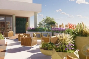 Hilton ta revela 26 apertura emocionante pa 2026 y un di nan ta na Aruba!