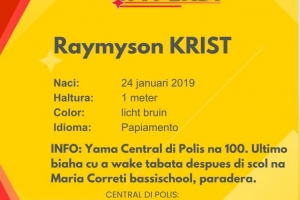 Update: Polis a localisa hobencito perdi di apenas 6 aña!