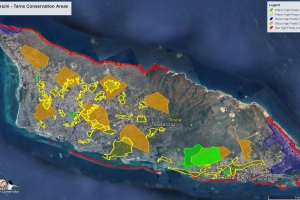 ABC: Nos ta preparando tambe pa proteha Bubis di Aruba